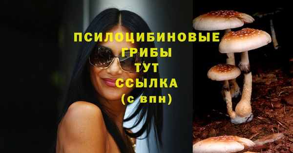 стафф Горнозаводск