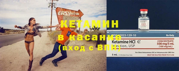 прущие грибы Вязьма