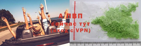 прущие грибы Вязники