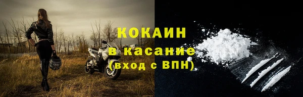 прущие грибы Вязники