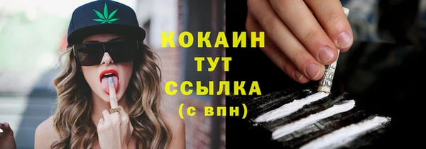 марки lsd Горняк