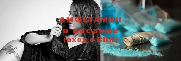 прущие грибы Вязьма