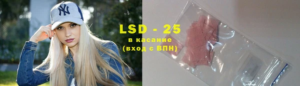 индика Володарск
