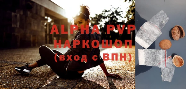 прущие грибы Вязники