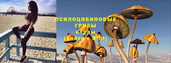apvp Горно-Алтайск