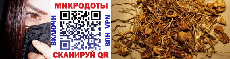 купить наркотики цена  Добрянка  Галлюциногенные грибы Magic Shrooms 